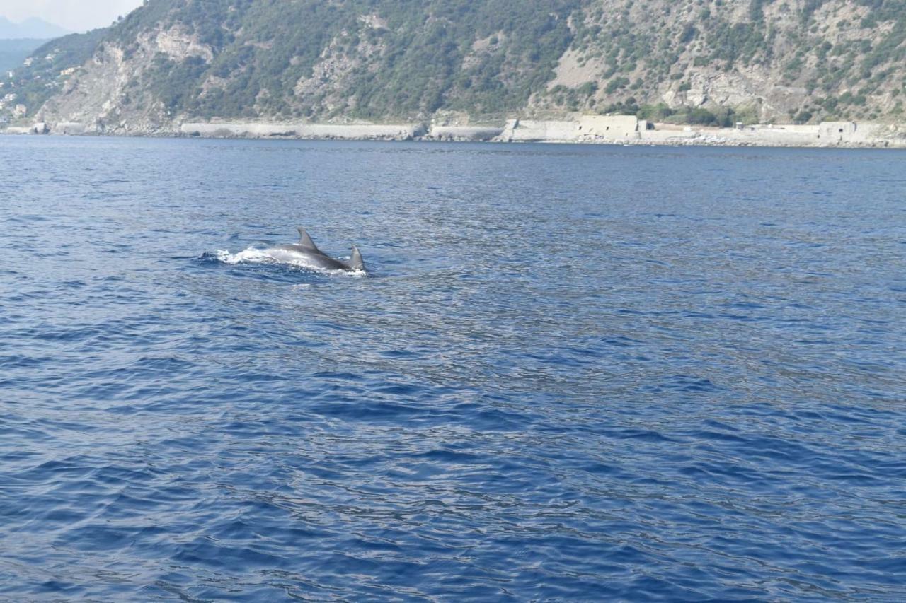 Tavernetta 109 Terrazza Tra Le 5 Terre E Portofino Deiva Marina Eksteriør bilde