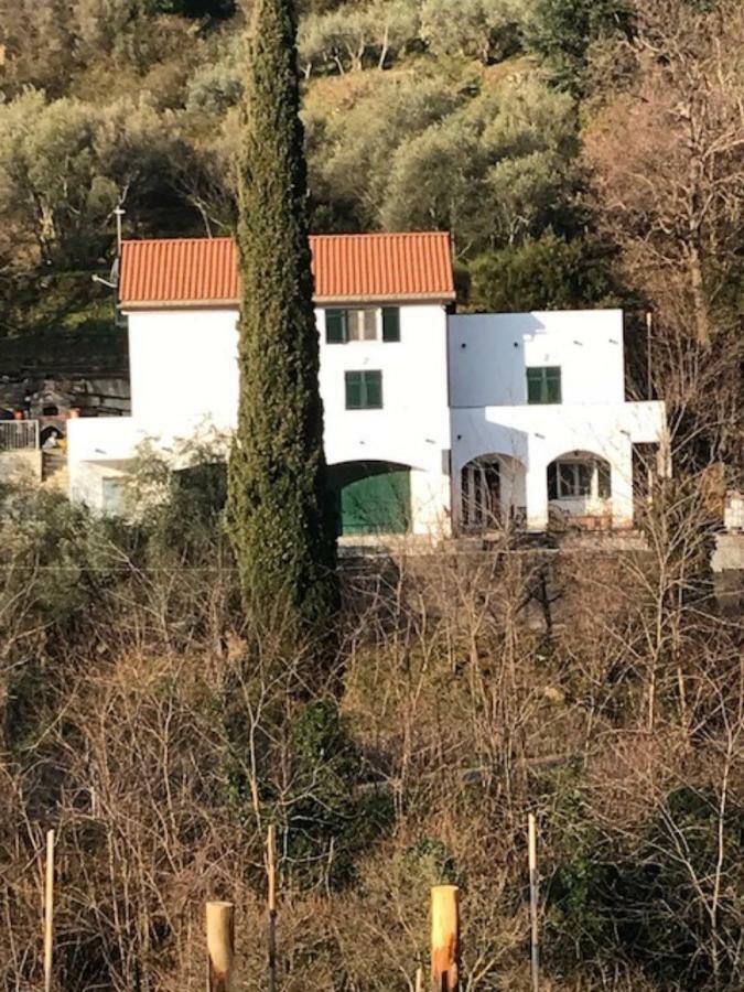 Tavernetta 109 Terrazza Tra Le 5 Terre E Portofino Deiva Marina Eksteriør bilde